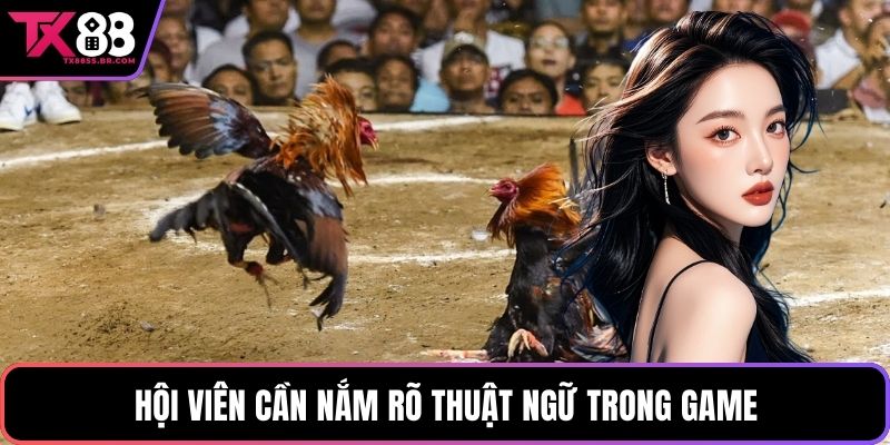 Hội viên cần nắm rõ thuật ngữ trong game
