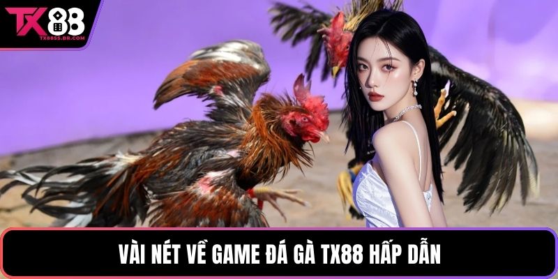 Vài nét về game đá gà TX88 hấp dẫn